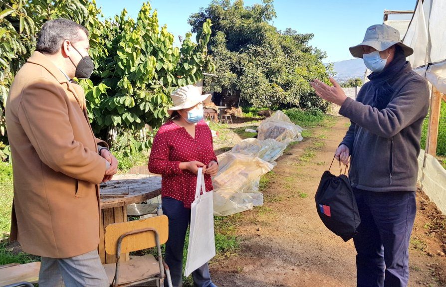 FOSIS da inicio a proyecto RU-EX, espacio de capacitaciones digitales para microagricultores de Quillota