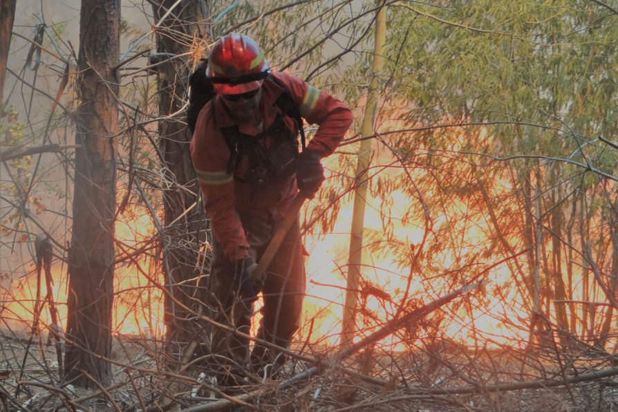Decretan alerta temprana preventiva en provincias de Valparaíso, Marga Marga y San Felipe por amenaza de incendios forestales
