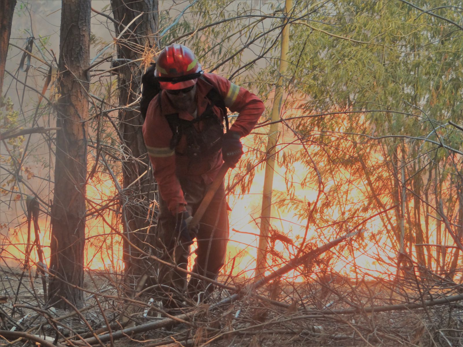 Decretan alerta temprana preventiva en provincias de Valparaíso, Marga Marga y San Felipe por amenaza de incendios forestales