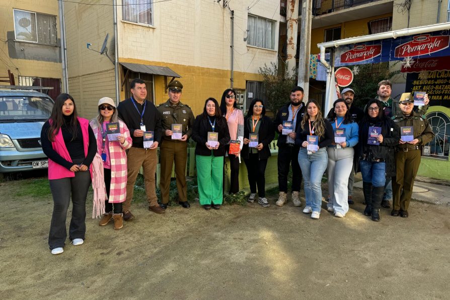 Provincia de Quillota registra mayor alza en reportes de Denuncia Seguro