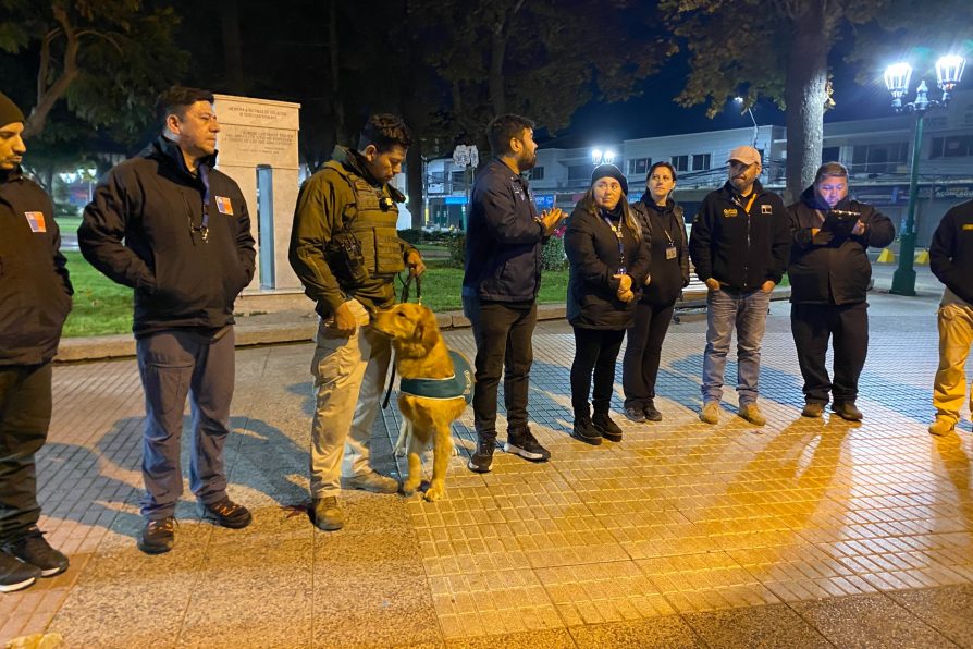 Fiscalización nocturna en Quillota y La Cruz dejó infracciones, notificaciones y tres detenidos