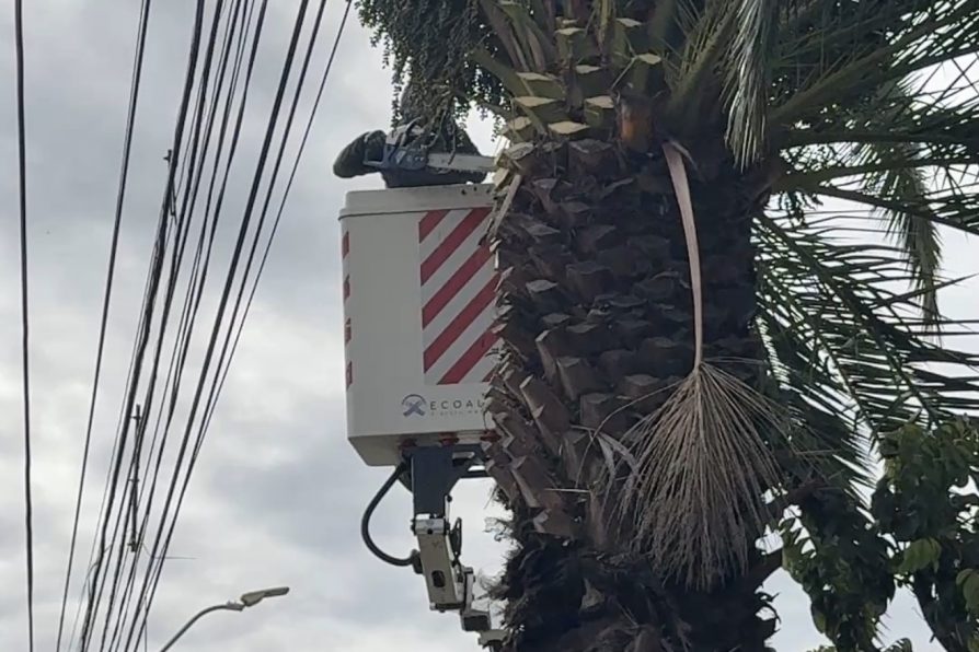 Priorizan reposición eléctrica e inicio de entrega de ayuda a familias afectadas por el sistema frontal