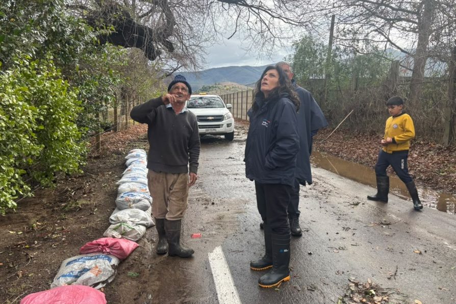 Visita en terreno sistema frontal. Lo rojas